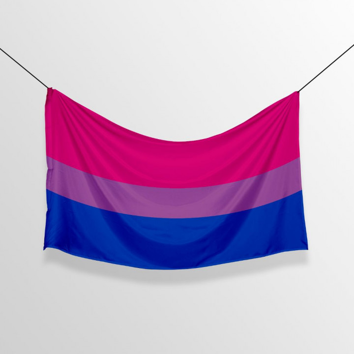 Veľká vlajka bisexualita