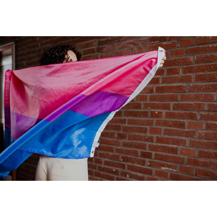 Veľká vlajka bisexualita